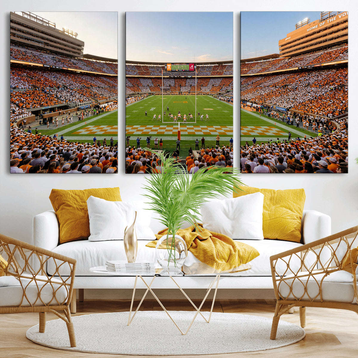 74509135-MGV-CV-36X24 - Stadium Wall Art Canvas Print