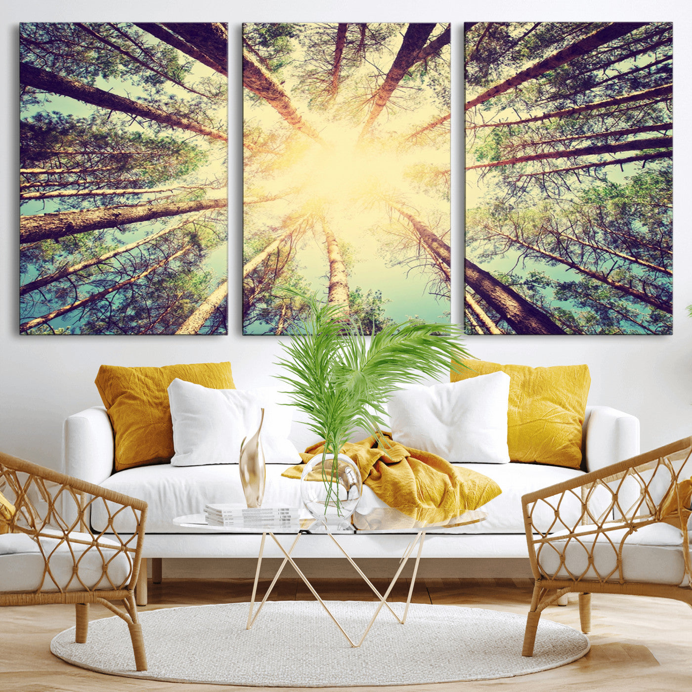 -Tree and Sunshine Canvas Print
