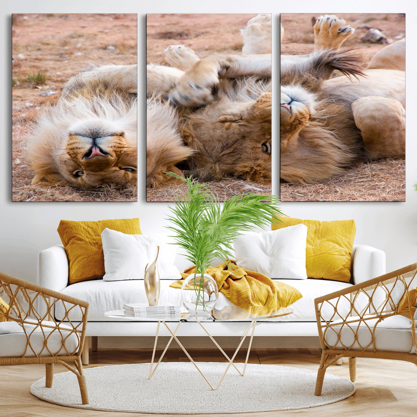 62598-MGV-CV-60X30-3P-Lion Pair Wall Art Canvas Print – Framed Wildlife Scene with Playful Lions Artwork for Home, Office, Living Room