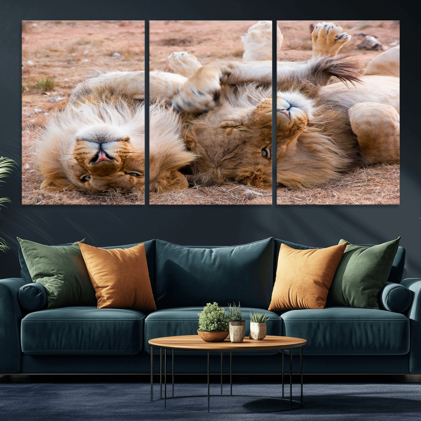 -Lion Pair Wall Art Canvas Print – Framed Wildlife Scene with Playful Lions Artwork for Home, Office, Living Room