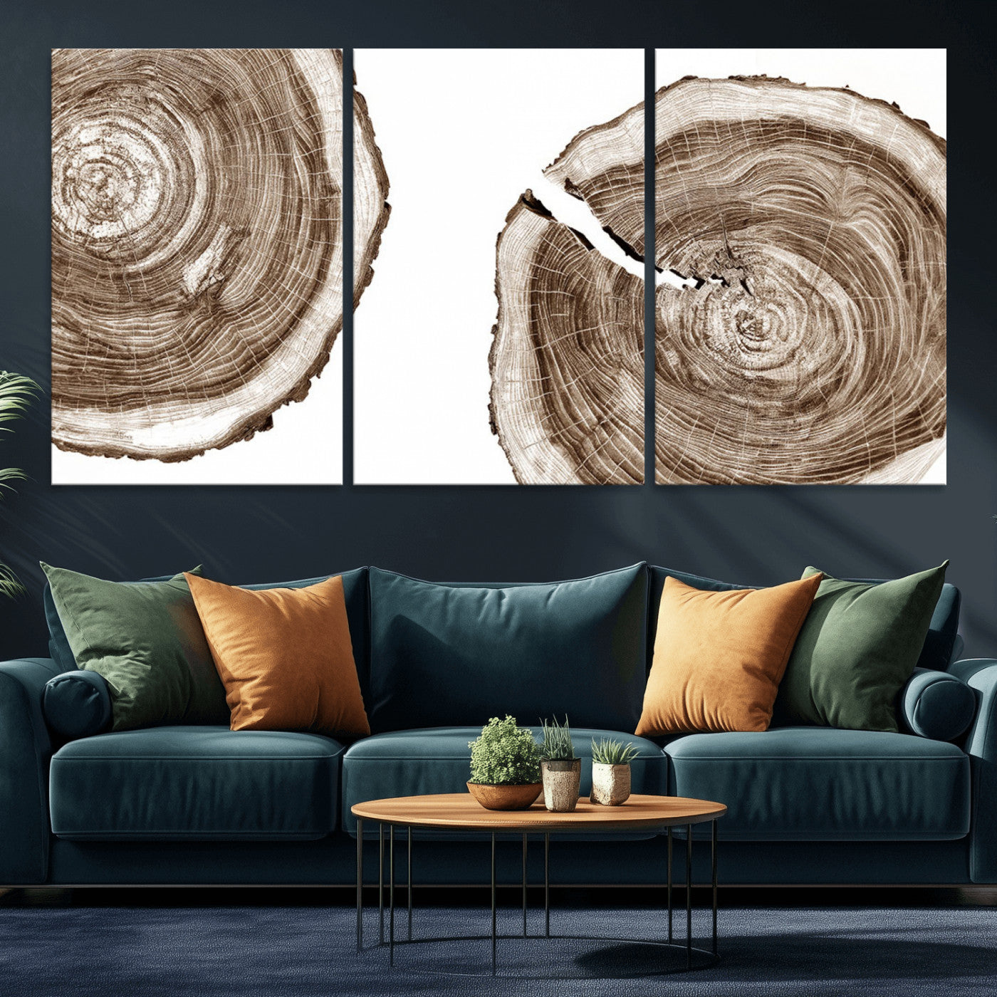 43743-MGV-CV-36X24-Wood Tree Ring Wall Art Canvas Prints, Tree Rings – Minimalist Black and White Wood Art | Triptych