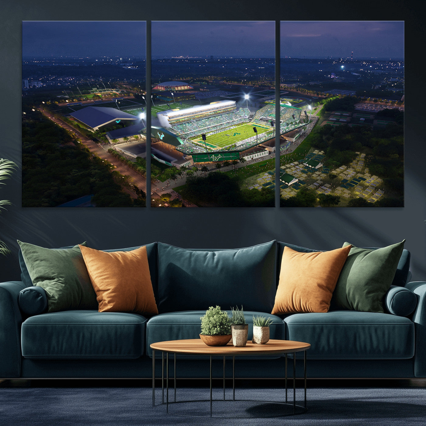 -The University of South Florida Bulls Football Team Print - Tampa USF Football Stadium Wall Art