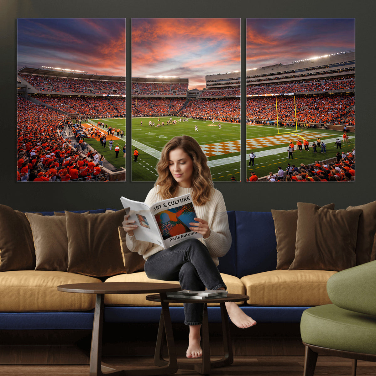 67648335-MGV-CV-36X24 - Stadium Wall Art Canvas Print