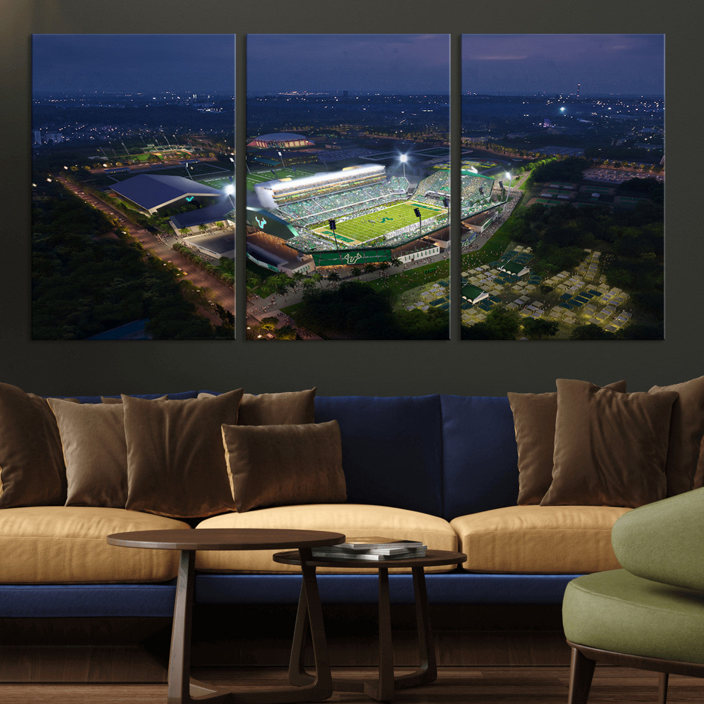 -The University of South Florida Bulls Football Team Print - Tampa USF Football Stadium Wall Art
