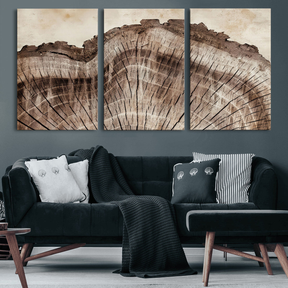 91280382-MGV-CV-60X30-3P - Tree Ring Canvas Wall Art in Neutral Earth Tones, Framed Wood Slice Print for Rustic and Japandi Interiors