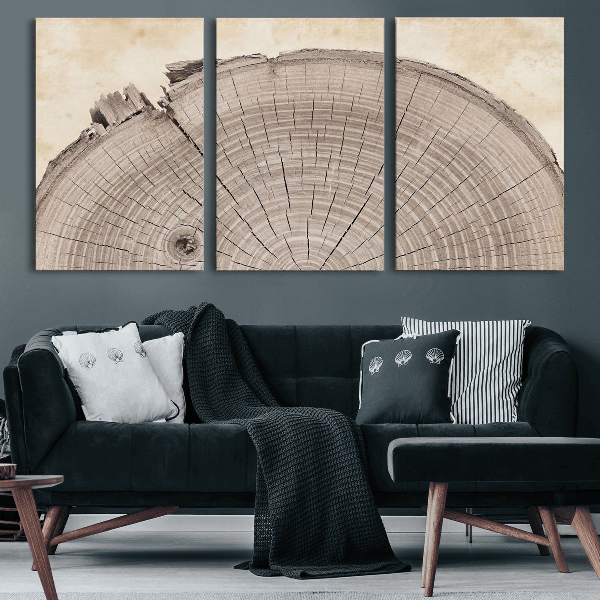 64174838-MGV-CV-60X30-3P - Tree Ring Canvas Wall Art in Neutral Earth Tones, Framed Wood Slice Print for Rustic and Japandi Interiors