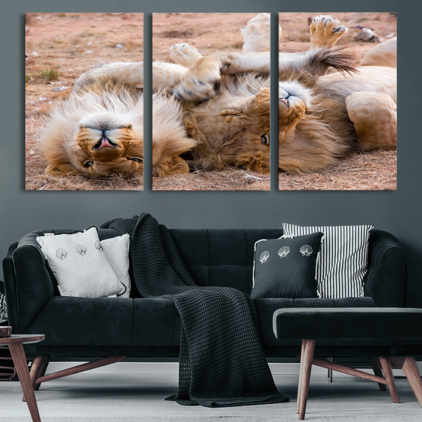 -Lion Pair Wall Art Canvas Print – Framed Wildlife Scene with Playful Lions Artwork for Home, Office, Living Room