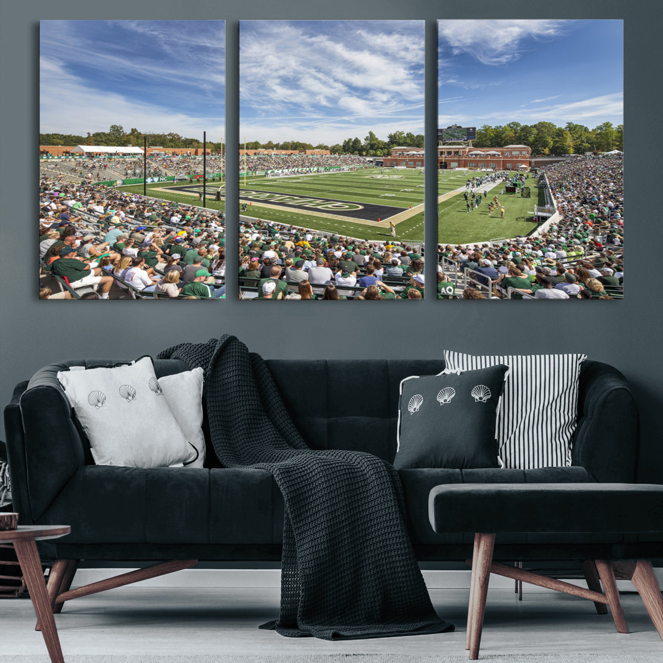 67799-MGV-CV-60X30-3P-University of Charlotte 49ers Football Team Print - Charlotte Jerry Richardson Stadium Canvas Print