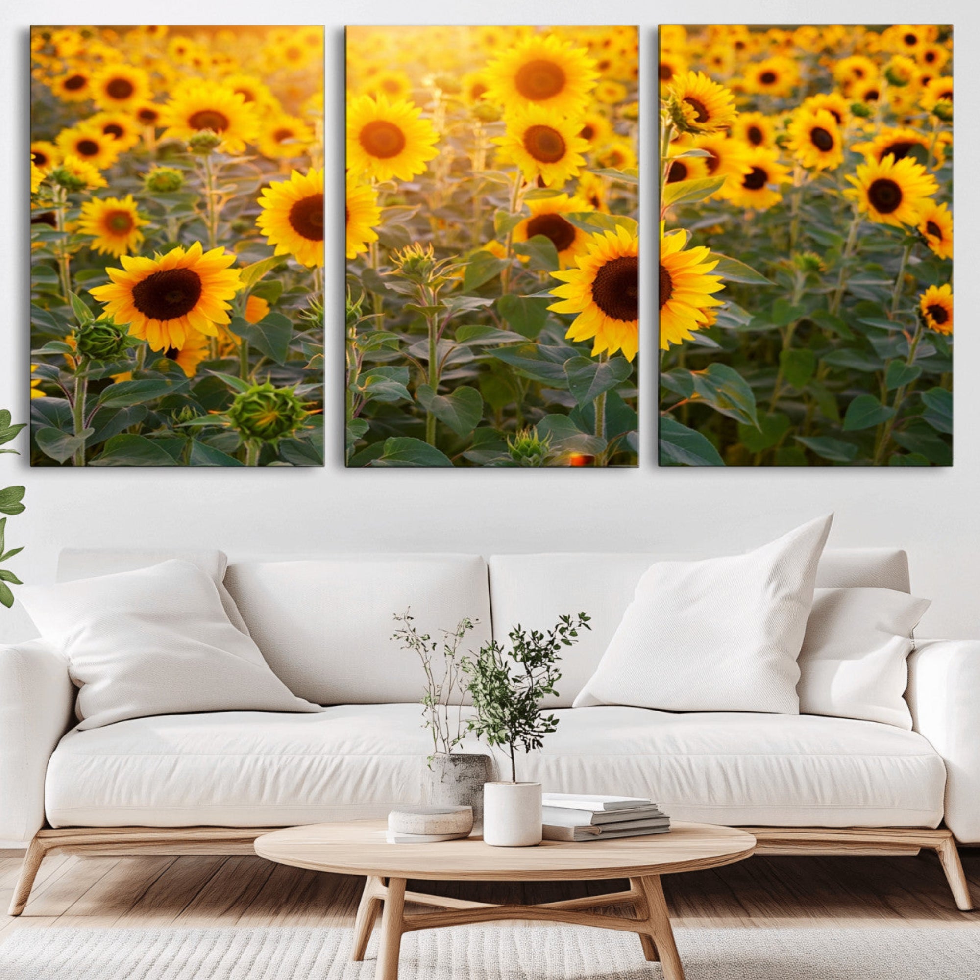 53685-MGV-CV-36X24-Sunflower Sunshine Wall Art Canvas Print