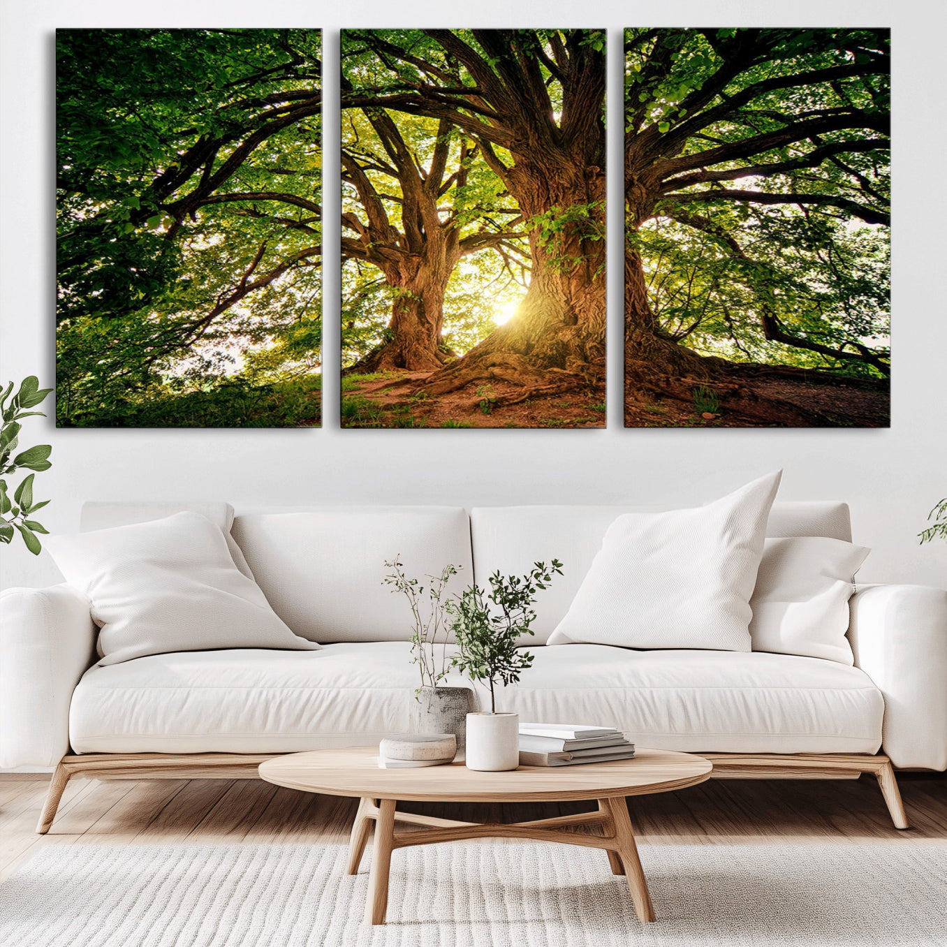 -Majestic Ancient Tree Wall Art, NatureCanvas Print, Woodland Art, Tree of Life Artwork, Sunlit