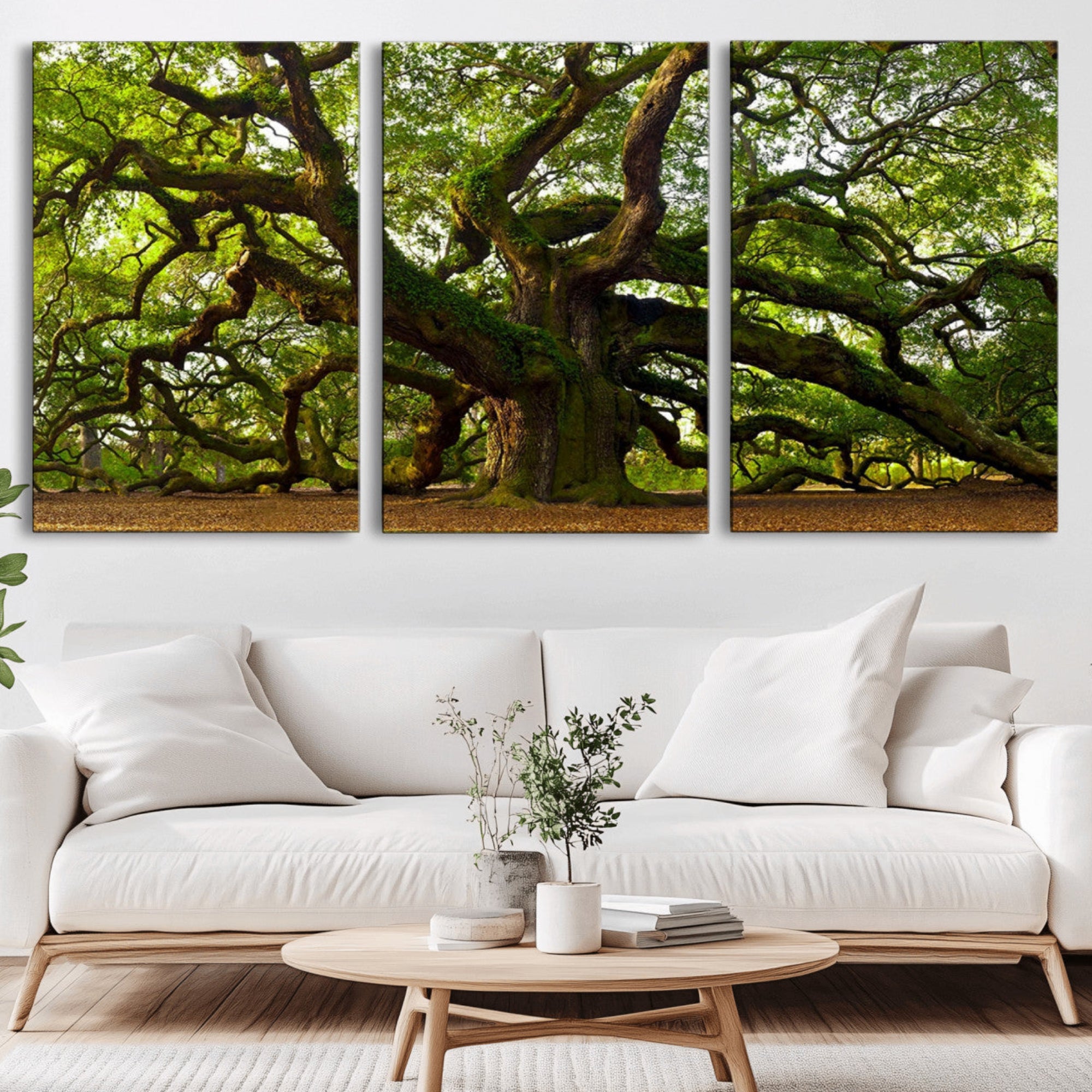 29407-MGV-CV-36X24-Angel Oak Tree Wall Art Canvas Print | Forest Tree Nature Photography Print on Canvas | Large