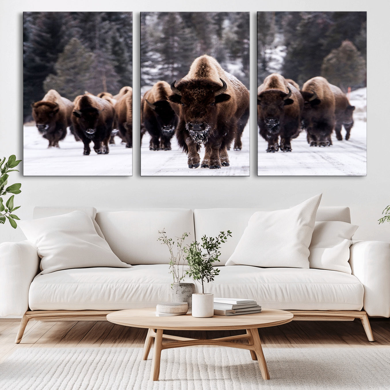 -Bison Wall Art Canvas Print- Bison Herd Canvas Wall Art – Majestic Wildlife Photography – Framed and
