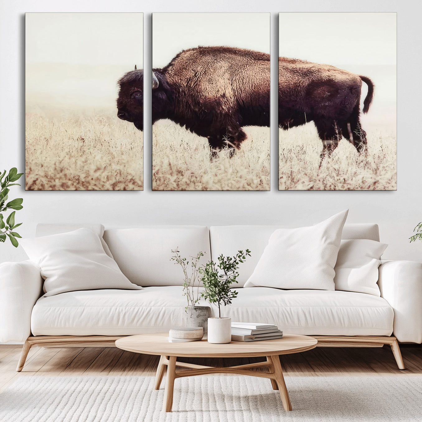 -Bison in Field Wall Art Canvas Print For Farmhouse Barn Decor