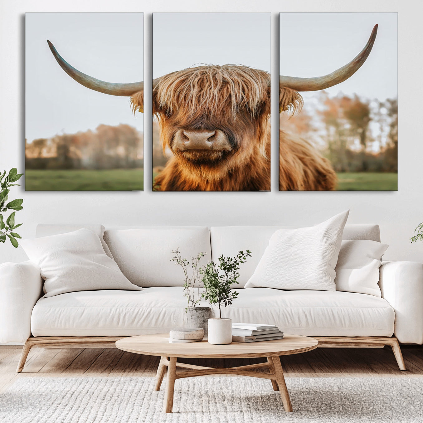 41121-MGV-CV-36X24-Highland Cow Animal Scottish Cattle Art Print Farmhouse Wall Art Canvas Print