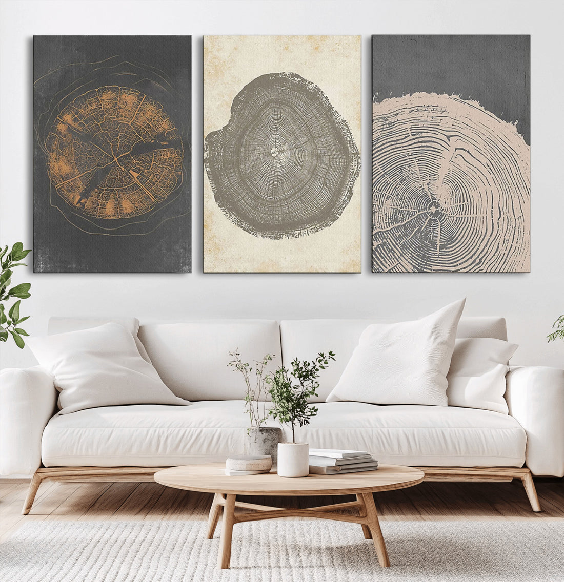 Boho Tree Ring Wall Art, Modern Minimalist Wood Grain Canvas Print