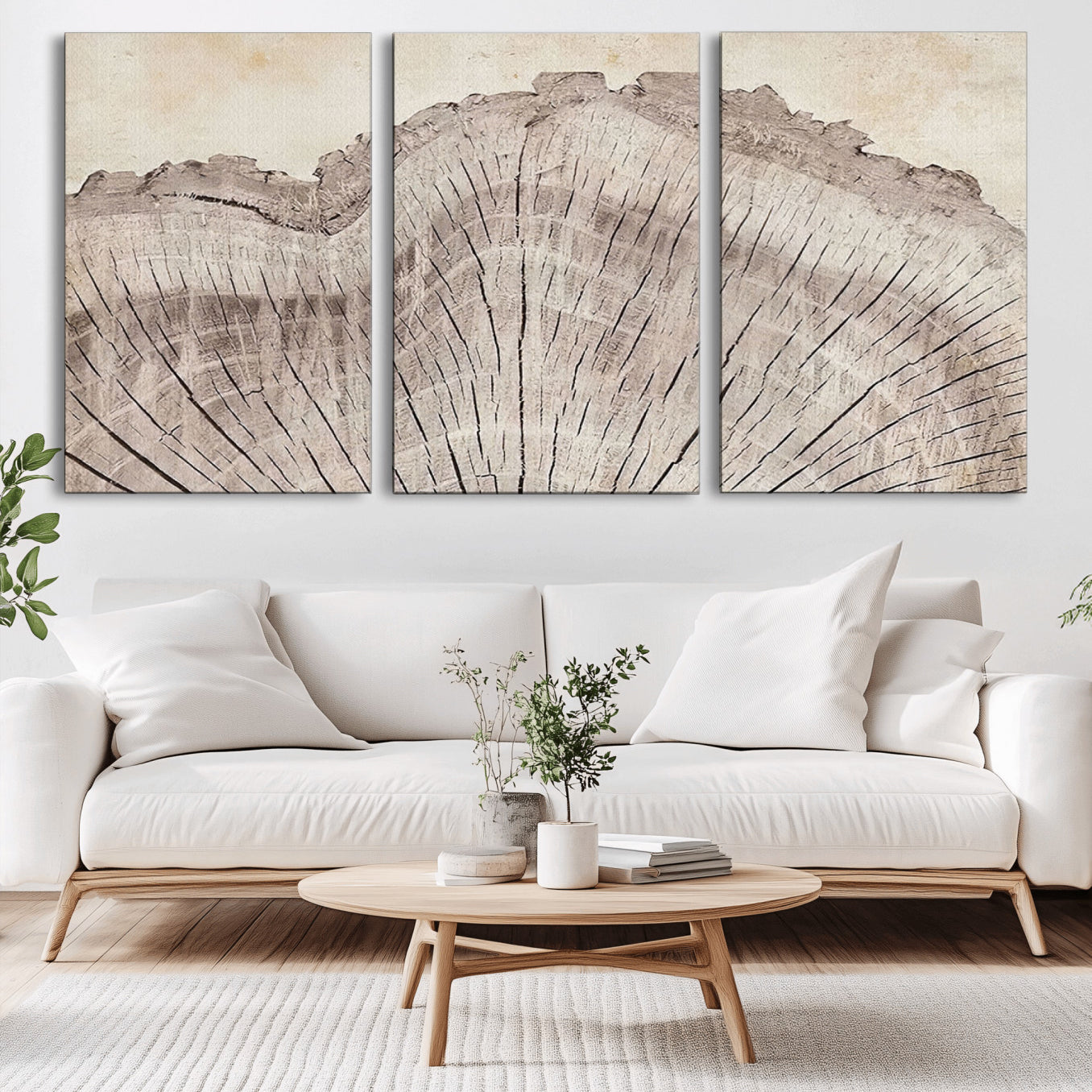 -Tree Ring Wall Art Triptych, Rustic Wood Ring Canvas Print, Minimalist Wall Decor for Modern Homes