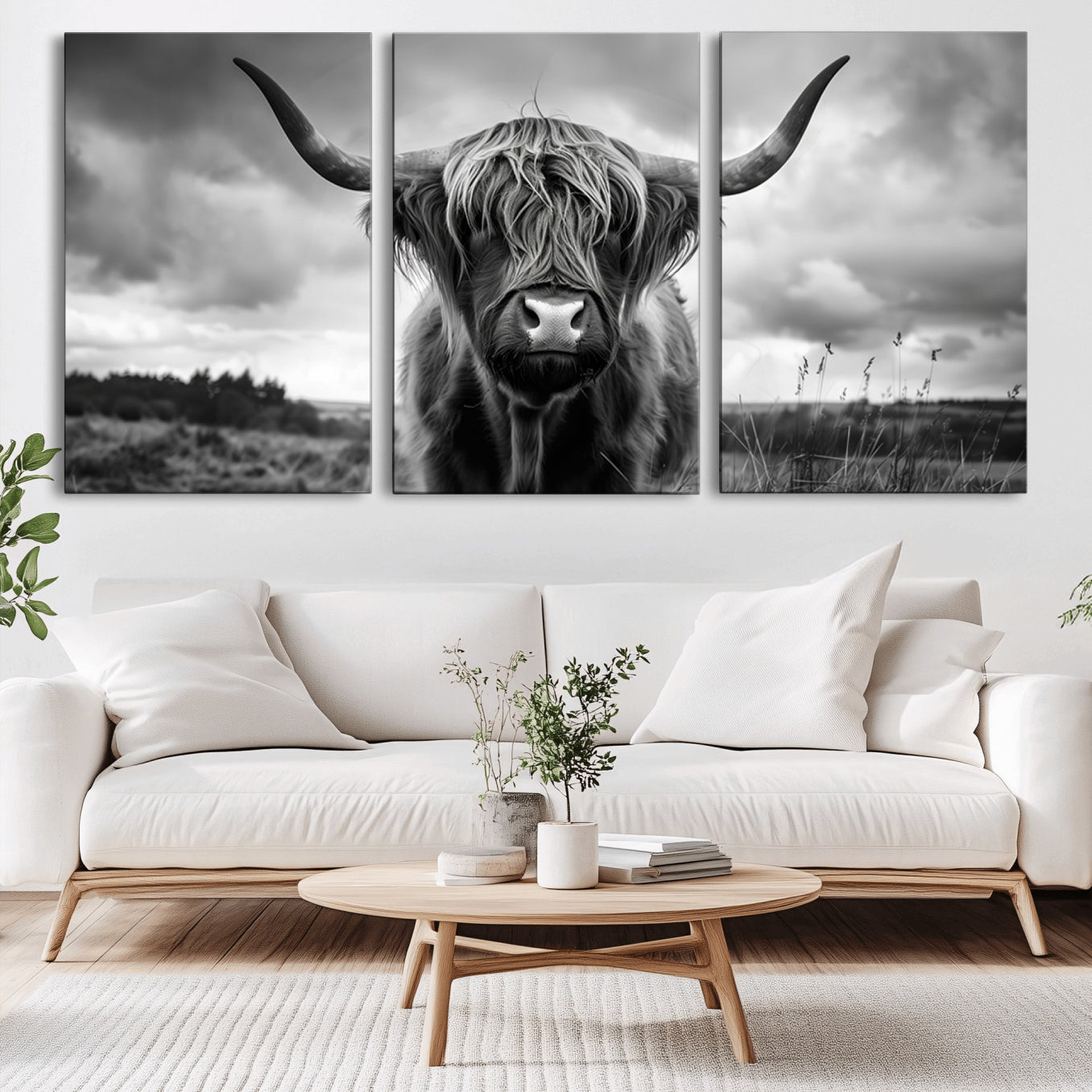 -Scottish Cow Wall Art Canvas Print | Longhorn Wall Art | Bighorn Animal Wall Art