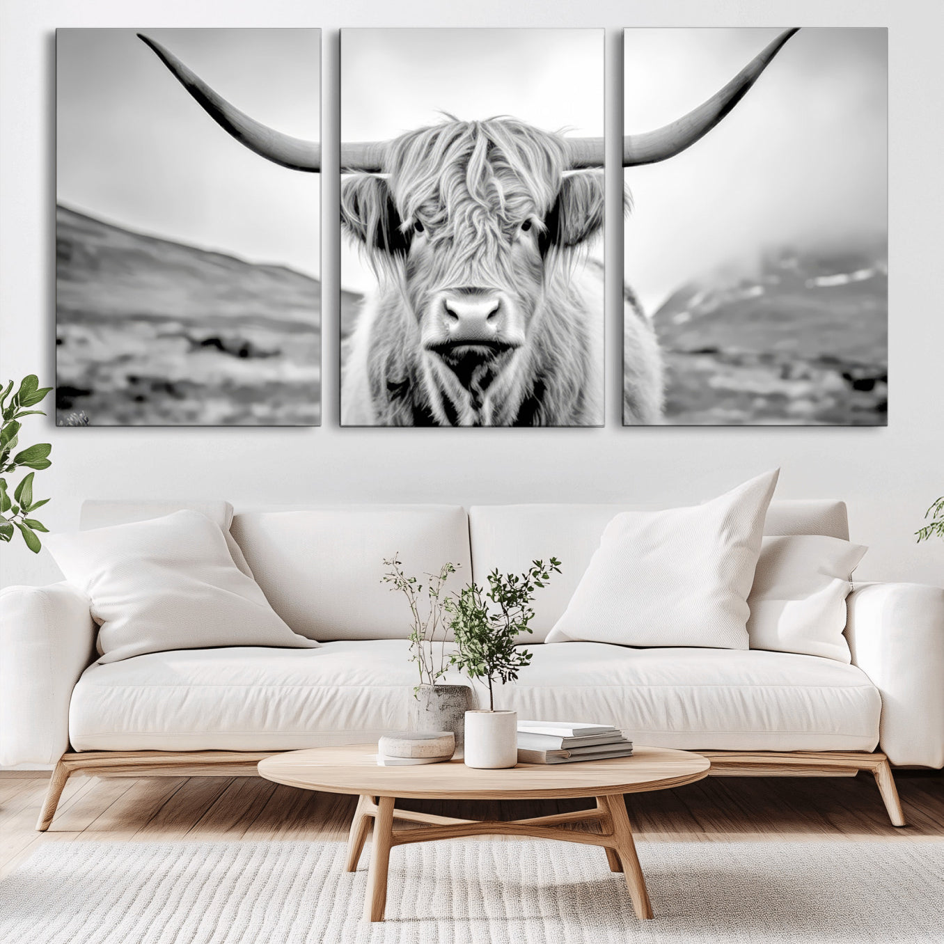 -Scottish Cow Wall Art Canvas Print
