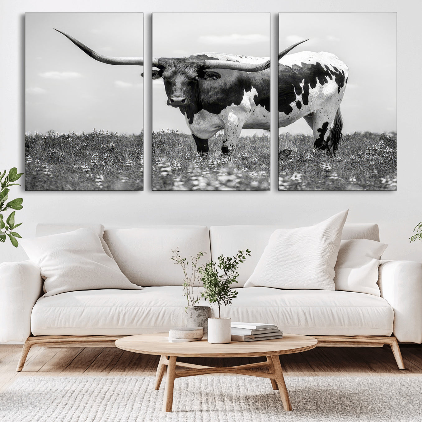 -Texas Black White Highland Longhorn Cow Wall Art Canvas Print