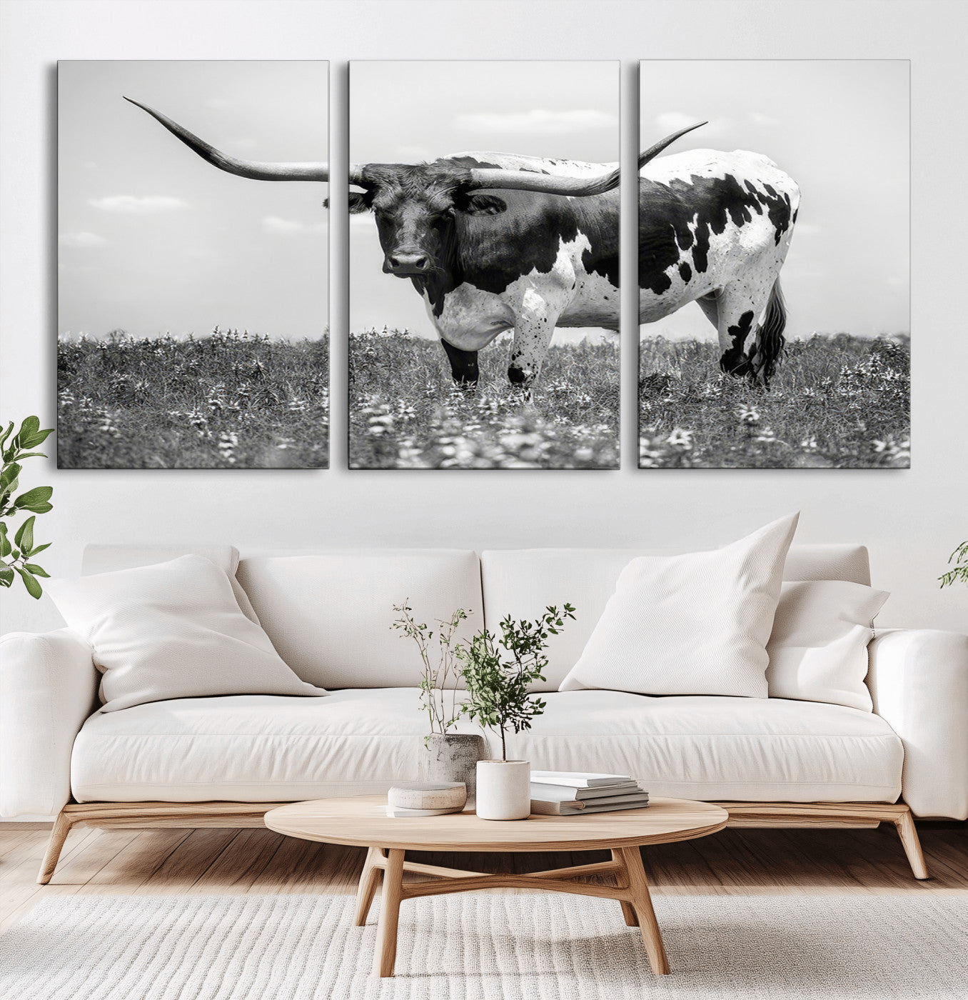 -Texas Black White Highland Longhorn Cow Wall Art Canvas Print