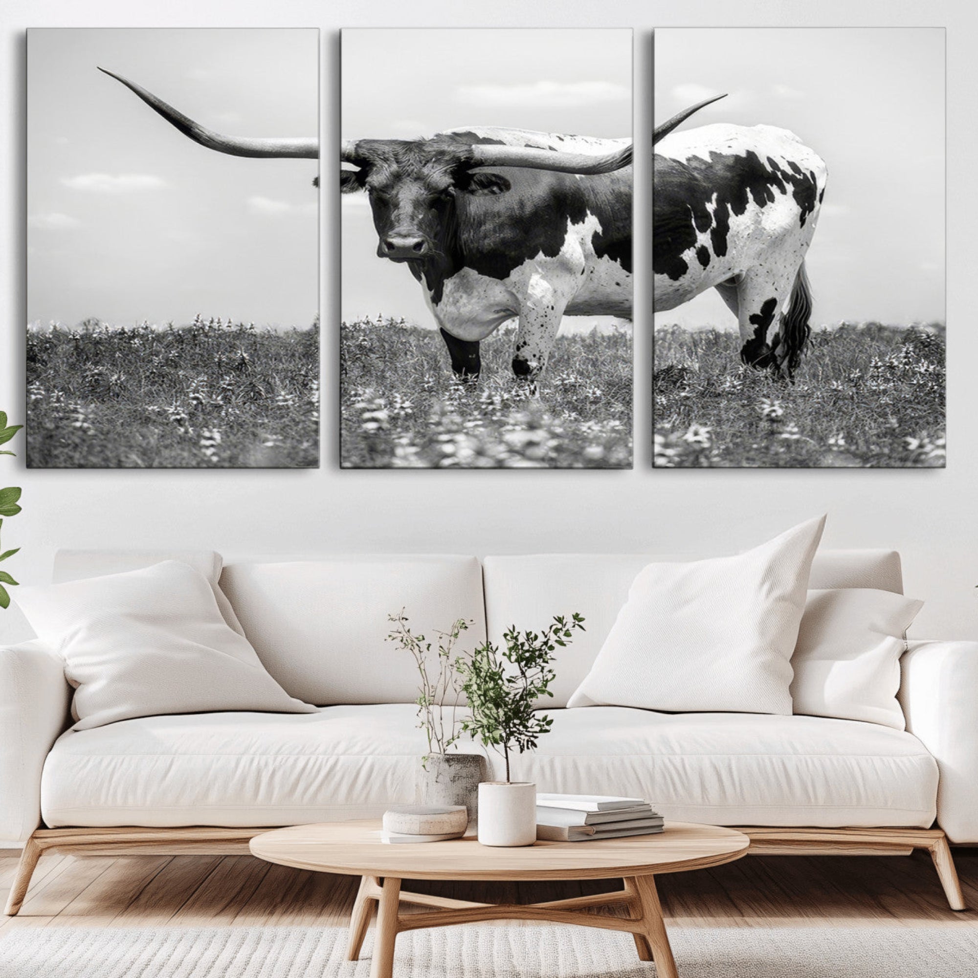 94709-MGV-CV-36X24-Texas Black White Highland Longhorn Cow Wall Art Canvas Print