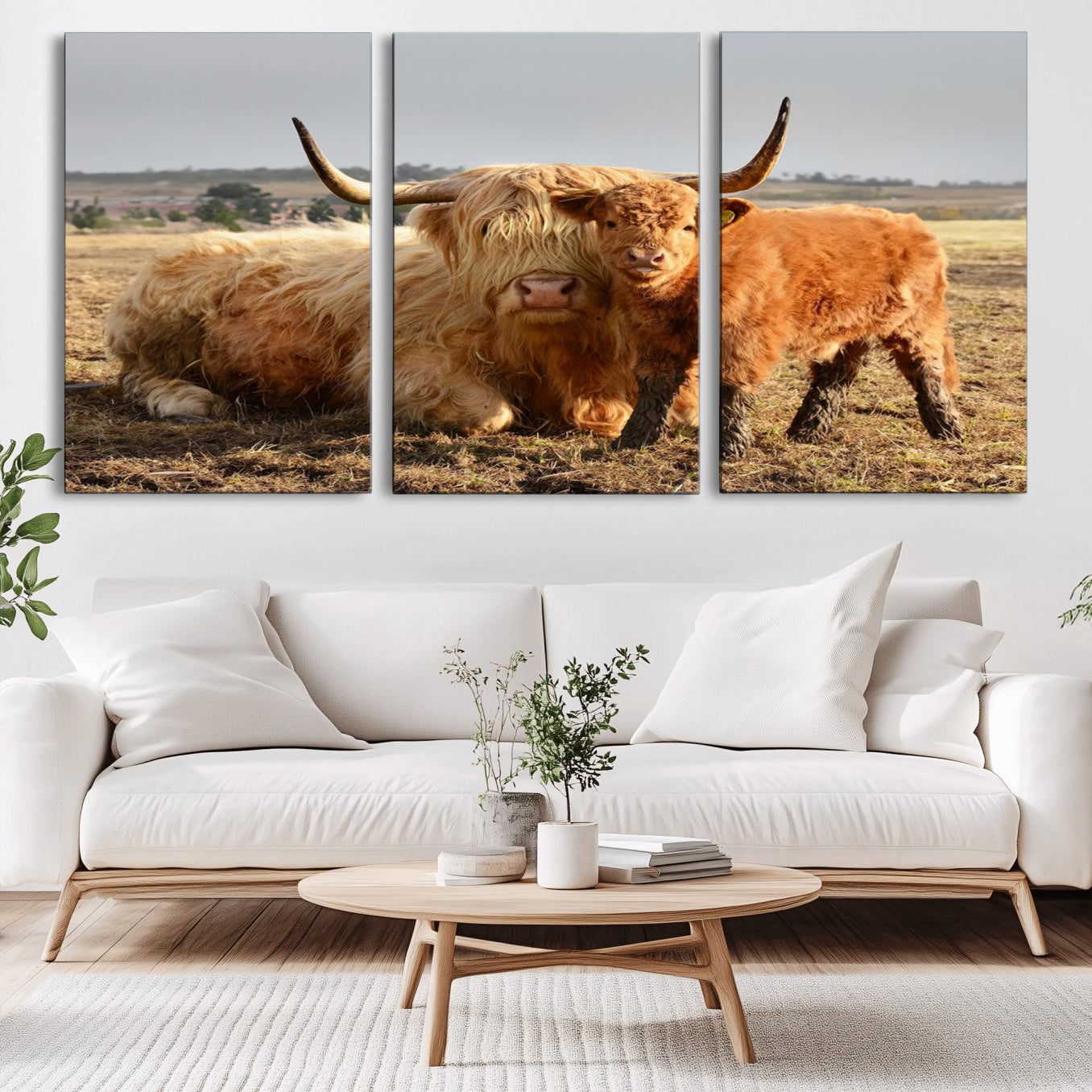 -Highland Cow Canvas Wall Art Animal Print for Farm House Decor