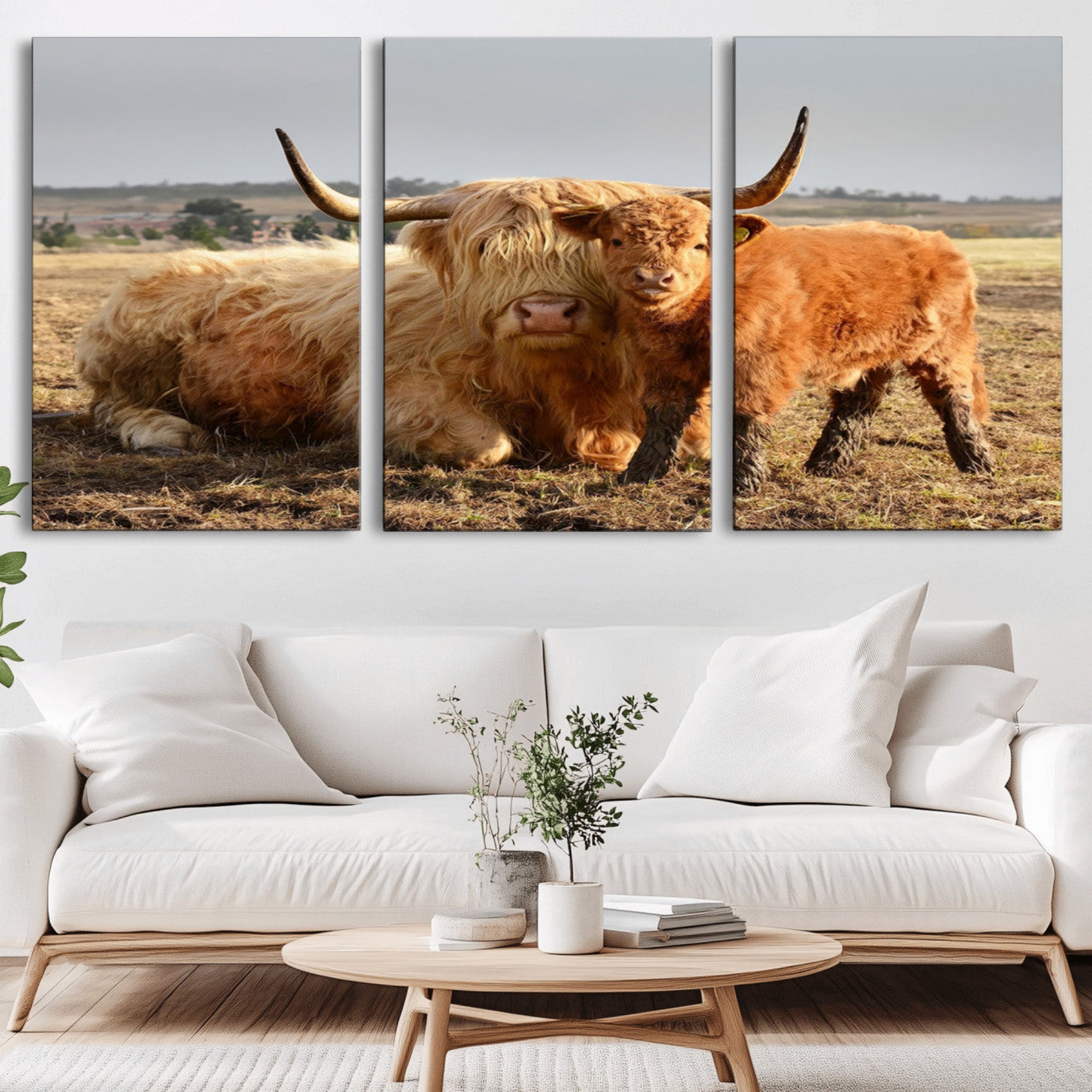53461-MGV-CV-36X24-Highland Cow Canvas Wall Art Animal Print for Farm House Decor