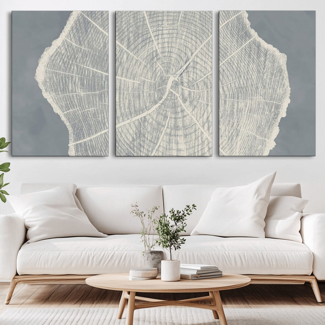 Abstract Tree Ring Wall Art Canvas Print, Framed and Ready to Hang