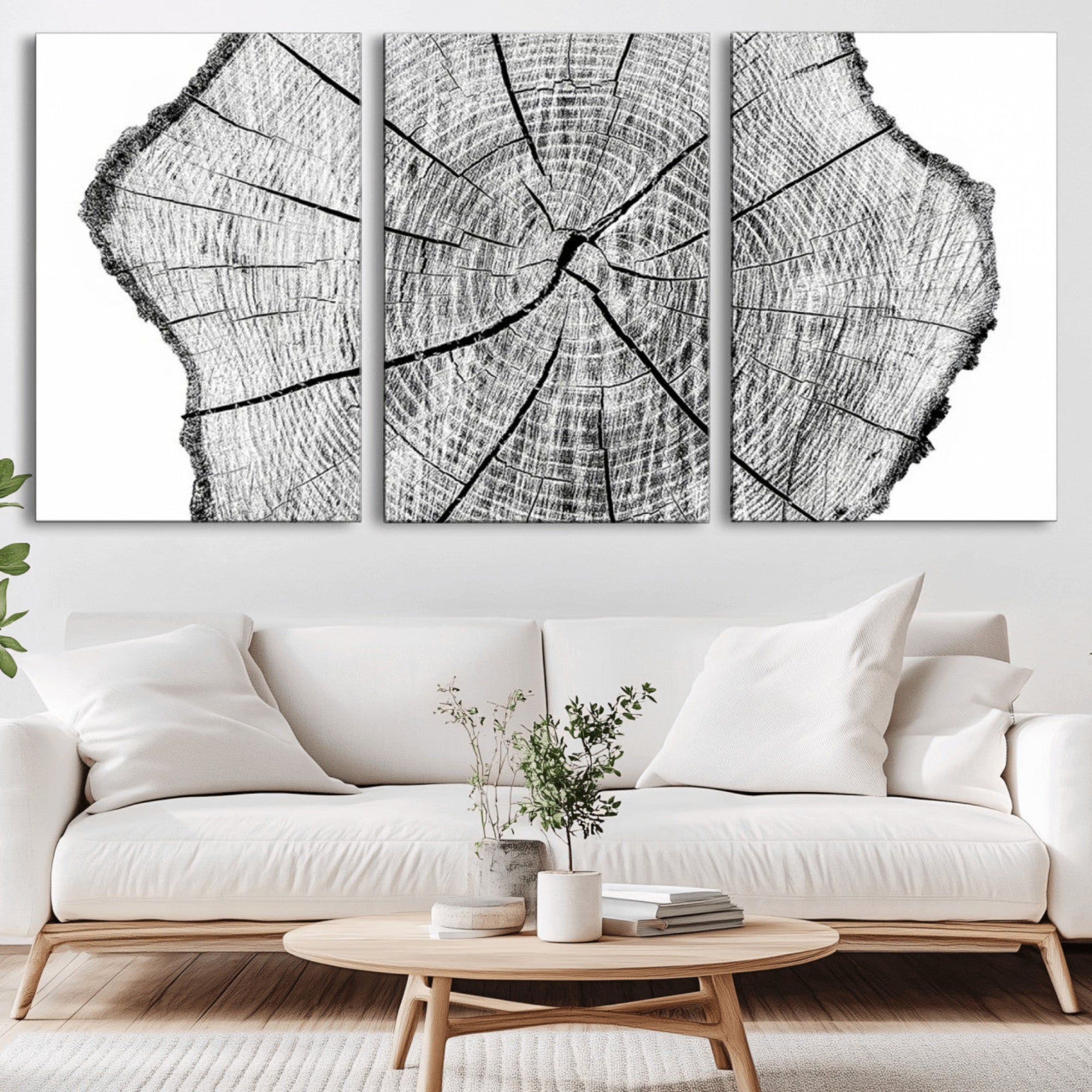 98709-MGV-CV-36X24-Rustic Tree Ring Wall Art Canvas Print – Framed and Ready to Hang – Perfect for Nature-Inspired and