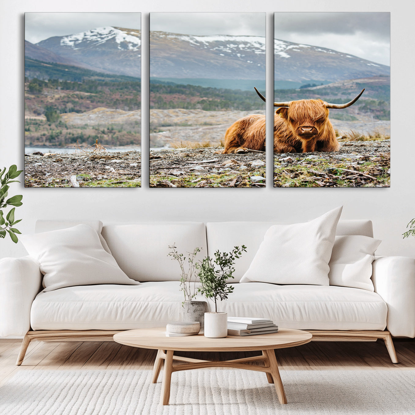 -Highland Cow Horn Farm Wall Art Canvas Print