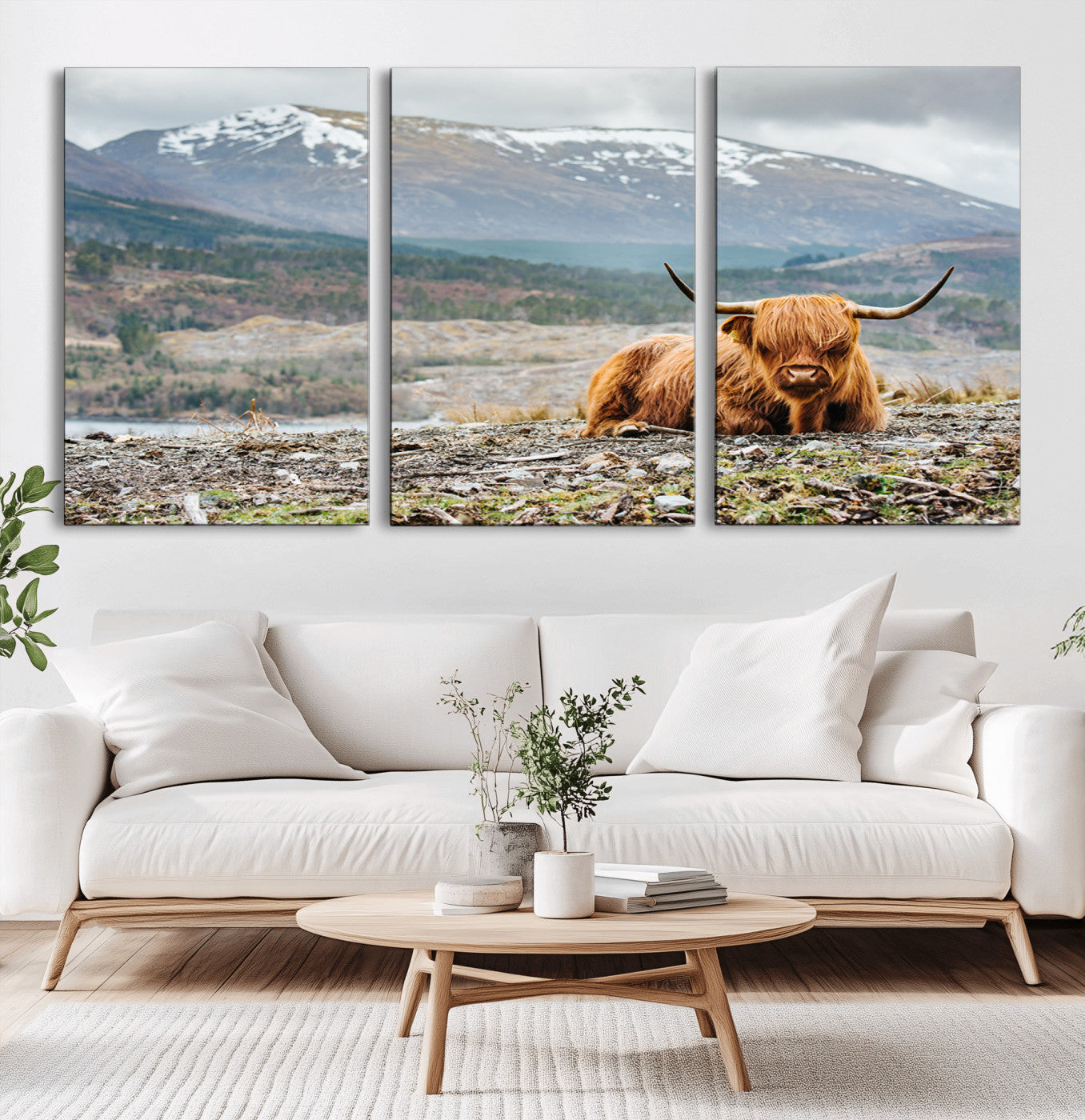 -Highland Cow Horn Farm Wall Art Canvas Print