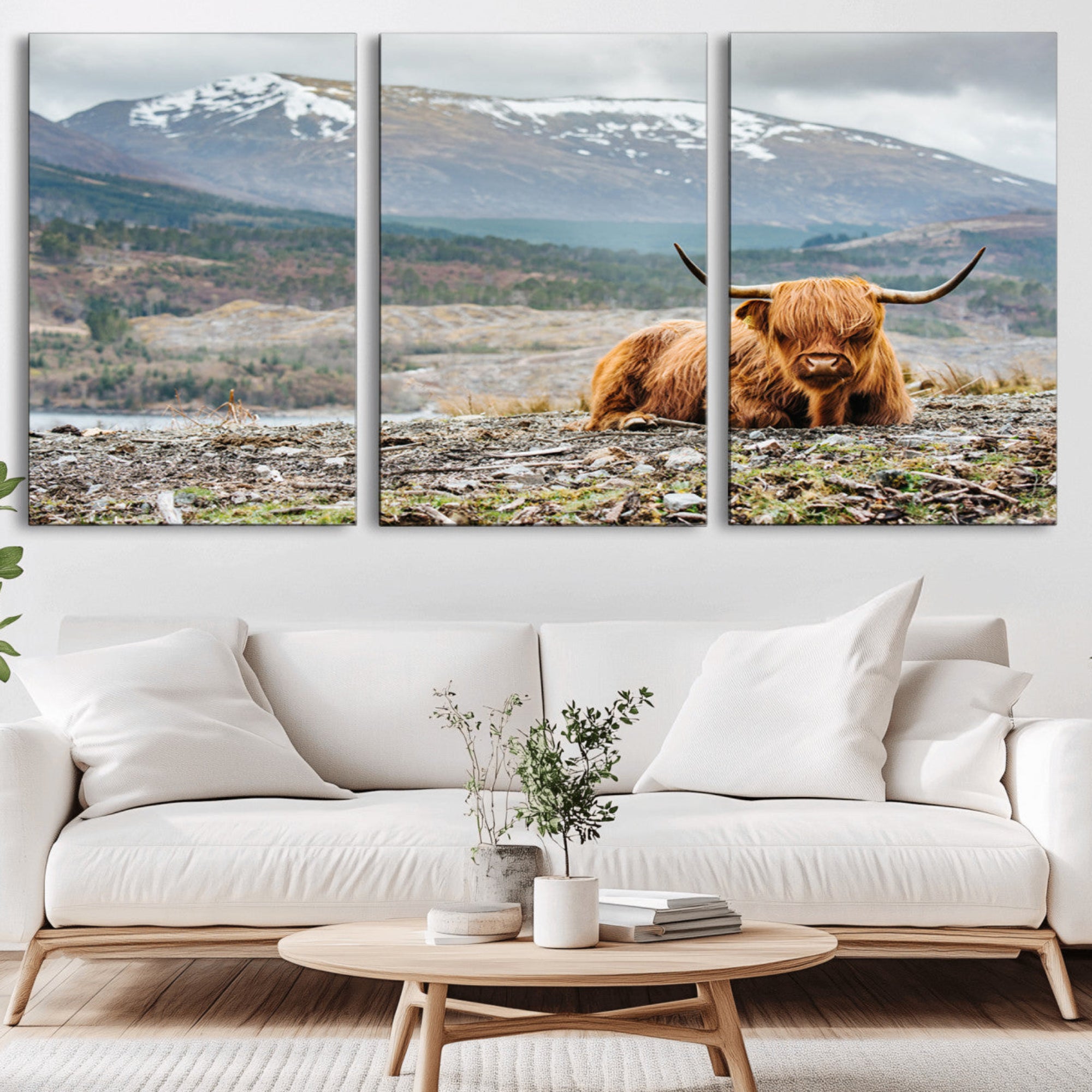 80252-MGV-CV-36X24-Highland Cow Horn Farm Wall Art Canvas Print