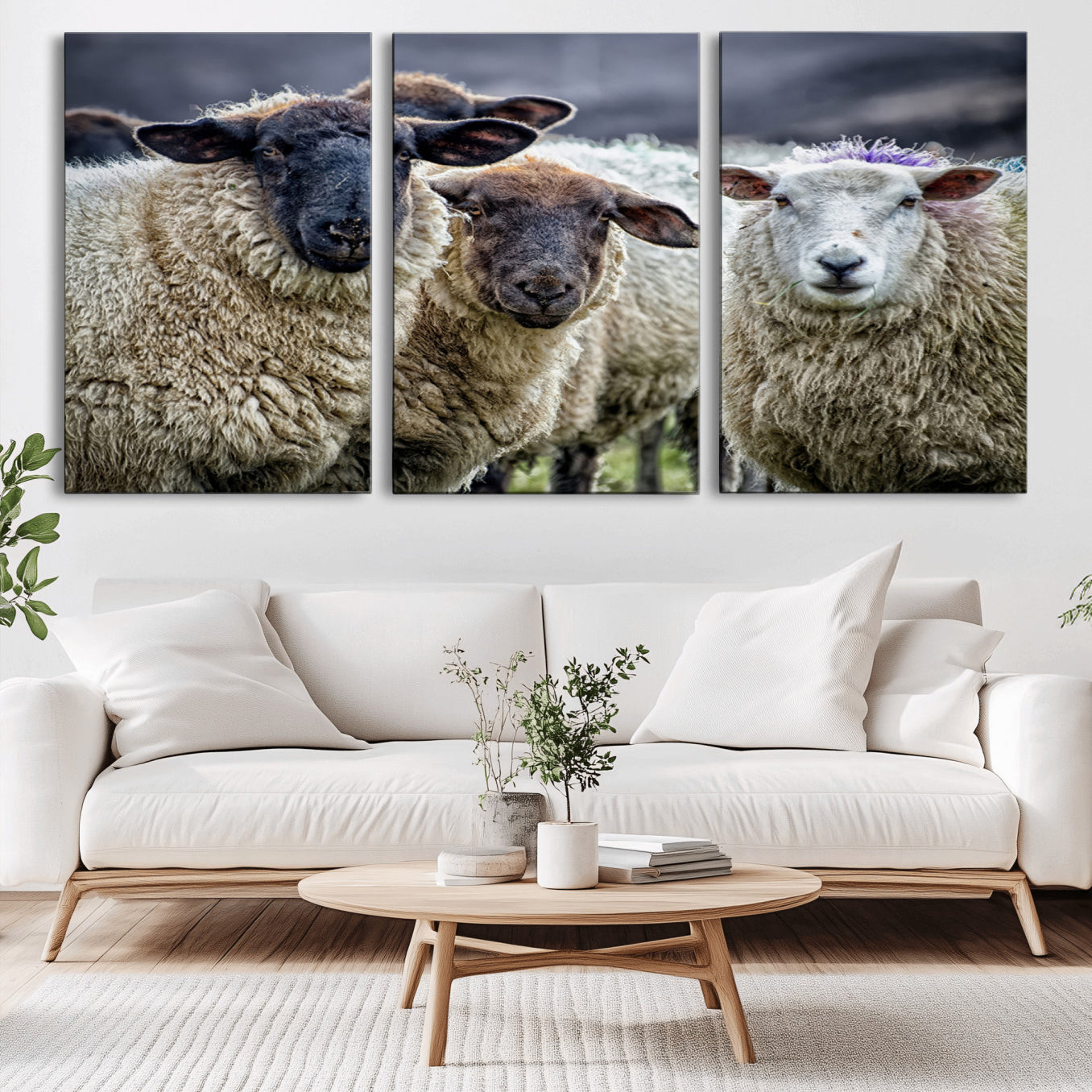 -Charming Sheep Portrait Wall Art – Trio of Woolly Companions Canvas Print, Framed, Ready to Hang