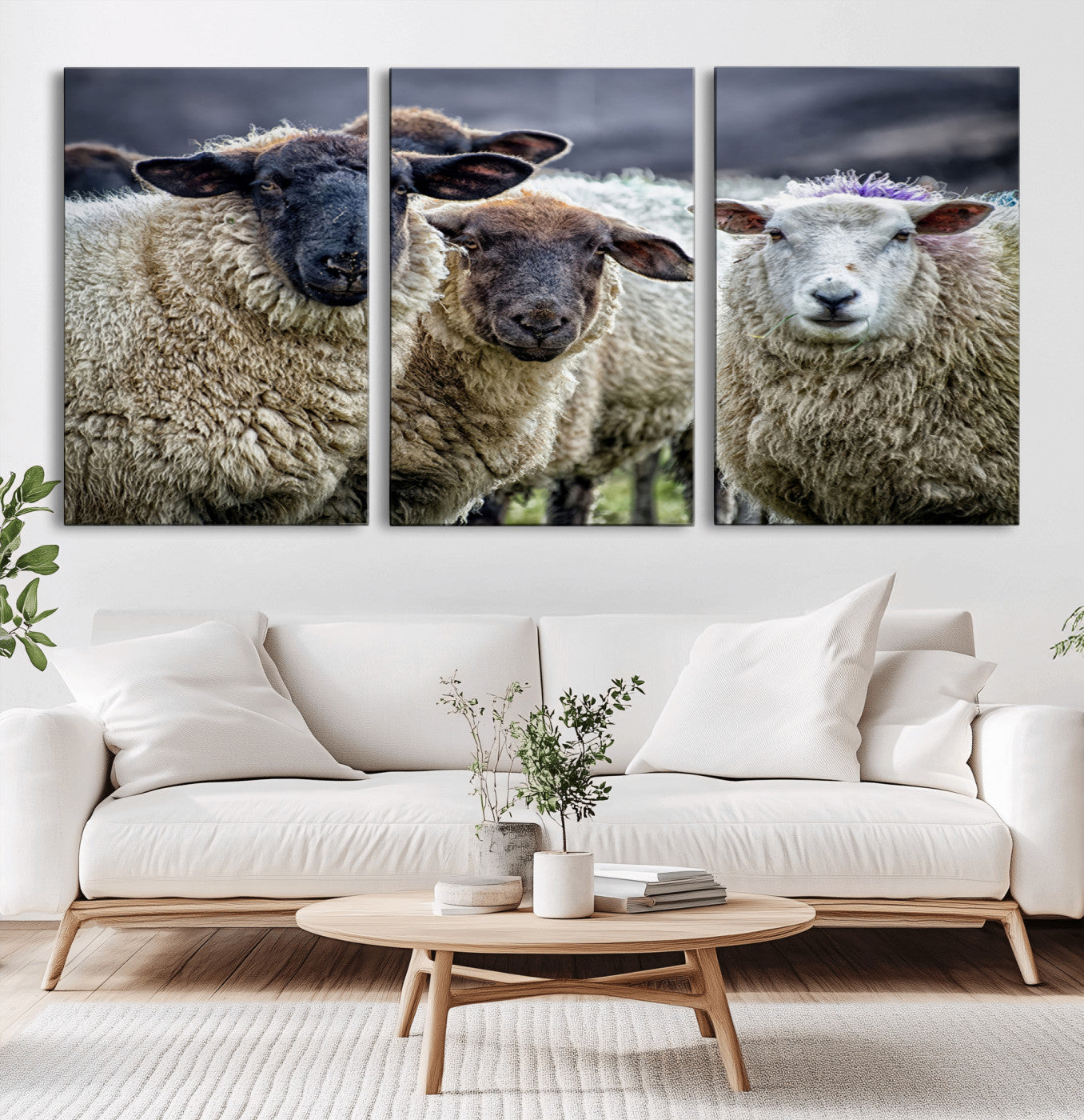 -Charming Sheep Portrait Wall Art – Trio of Woolly Companions Canvas Print, Framed, Ready to Hang