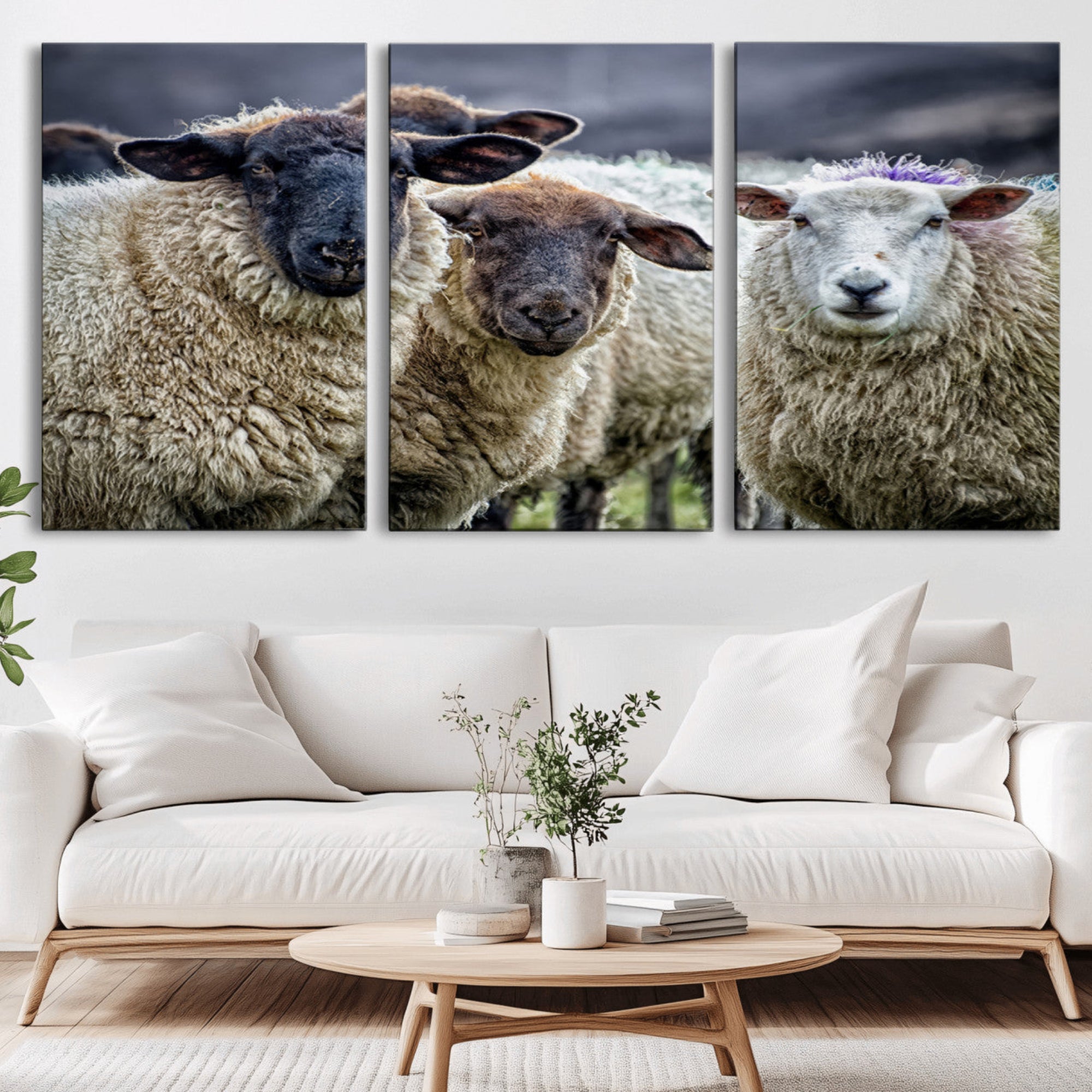 18418-MGV-CV-36X24-Charming Sheep Portrait Wall Art – Trio of Woolly Companions Canvas Print, Framed, Ready to Hang