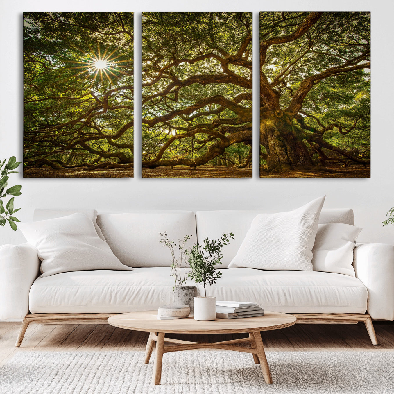 57983-MGV-CV-36X24-Ancient Angel Oak Tree Art Sunburst Canvas Print- Nature-Inspired Triptych Canvas Print, Framed,