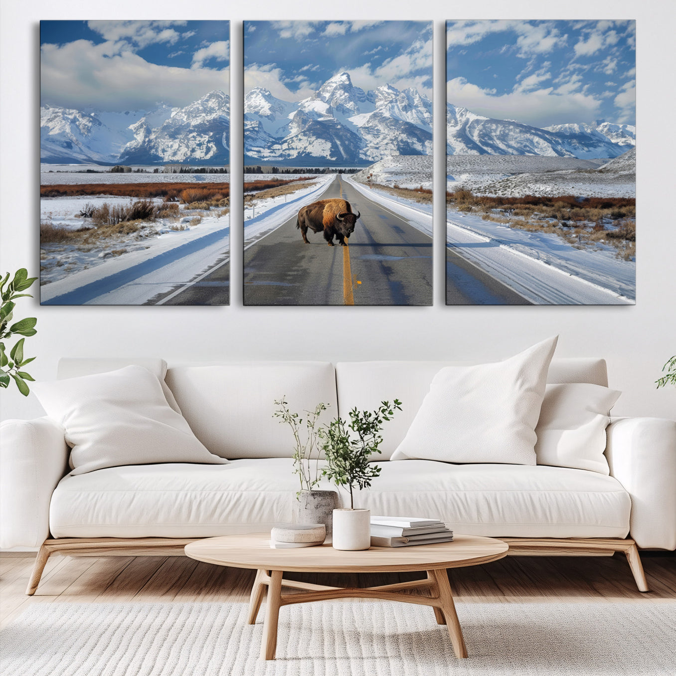 A powerful bison stands on a snow-dusted road beneath the towering peaks of the Grand Tetons, capturing the untamed beauty of America's winter wilderness.