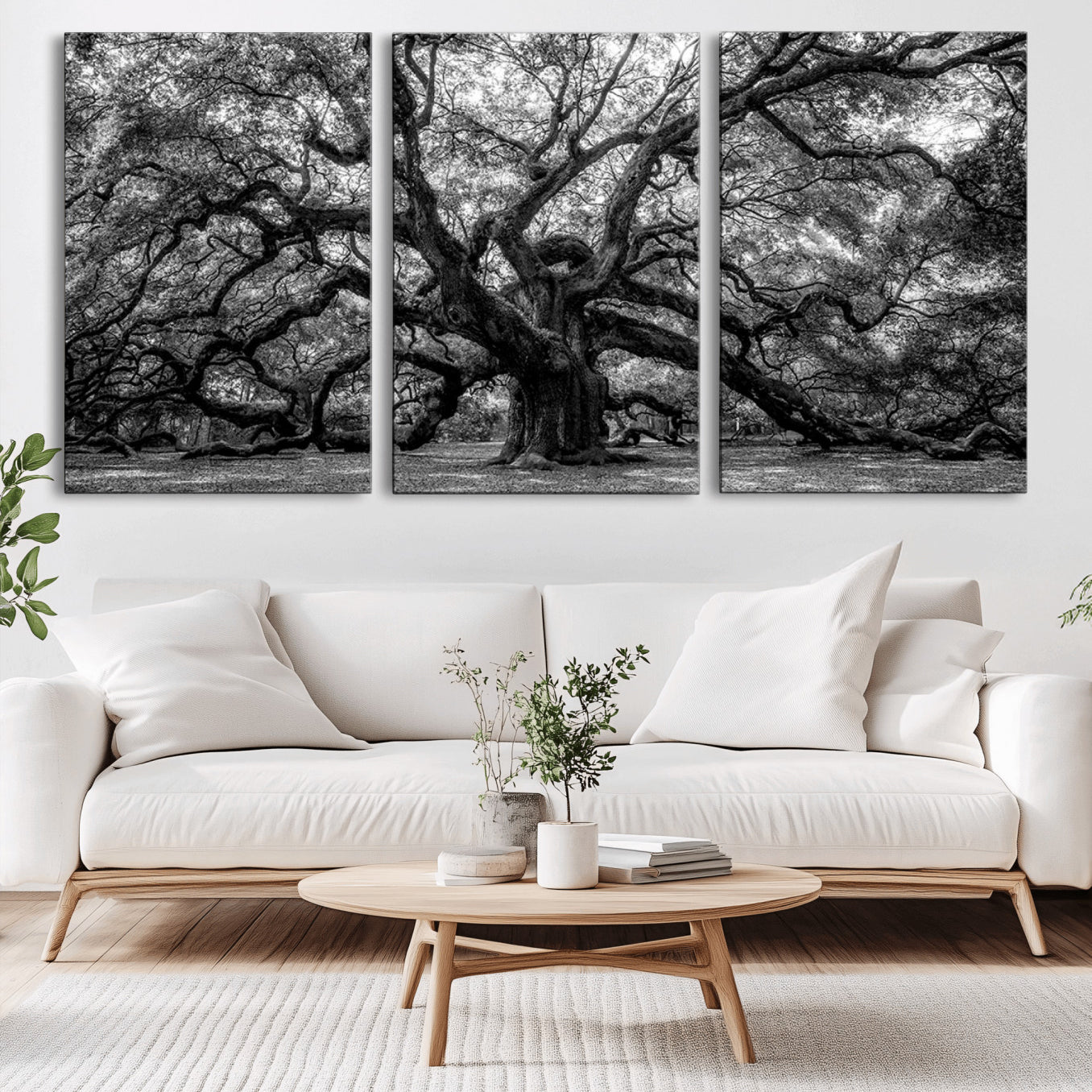 -Black and White Old Angel Oak Tree Wall Art Canvas Print