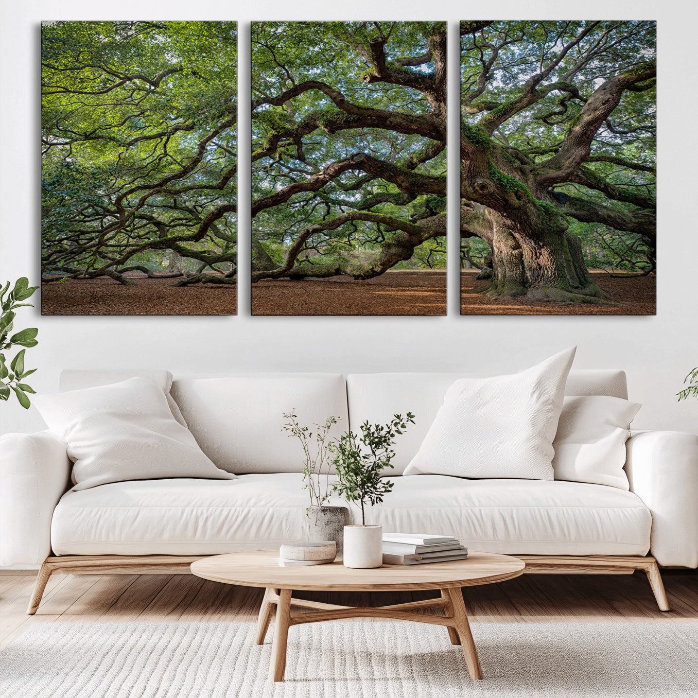 MGV-CV-60X30-3P - Ancient Oak Tree Wall Art – Canvas Print of Expansive Branches Lush Green Canopy, Tranquil Landscape, Majestic Nature Decor for Home or Office