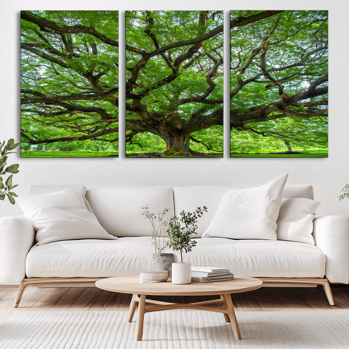 MGV-CV-60X30-3P - Ancient Tree Wall Art Canvas Print, Framed Sprawling Branches Art Picture Print, Gnarling Tree Perfect Earthy Natural Decor Artwork