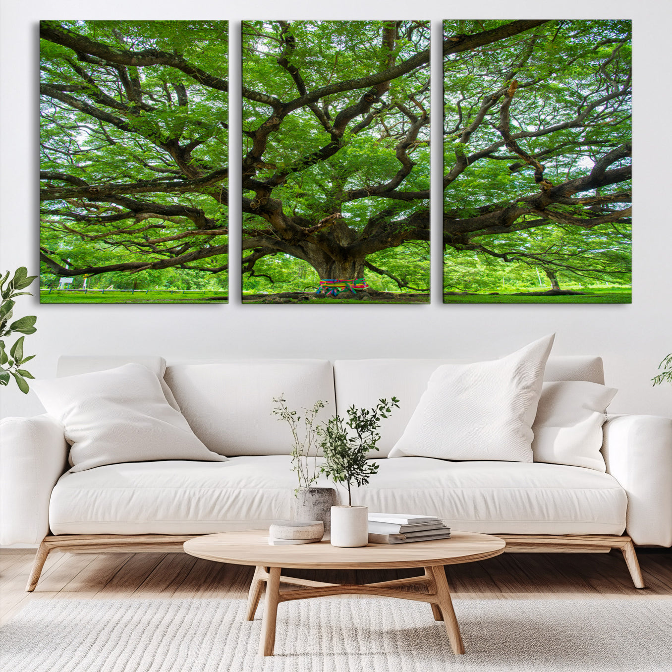 Angel Oak Tree Wall Art Canvas Print – Majestic Tree Landscape, Nature-Inspired Rustic Woodland Decor, Framed Artwork for Home, Office