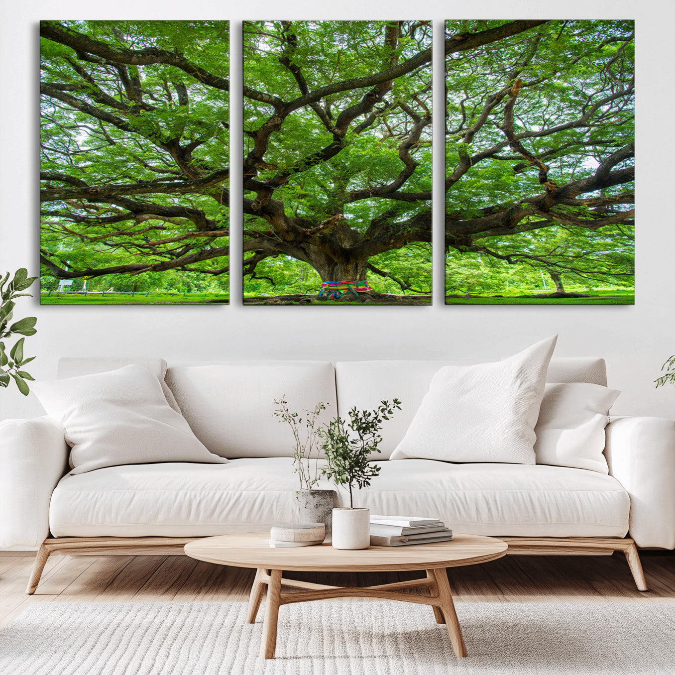 16118389-MGV-CV-36X24-Angel Oak Tree Wall Art Canvas Print – Framed Majestic Woodland Scene with Rustic Oak Artwork for Home, Office, Living Room