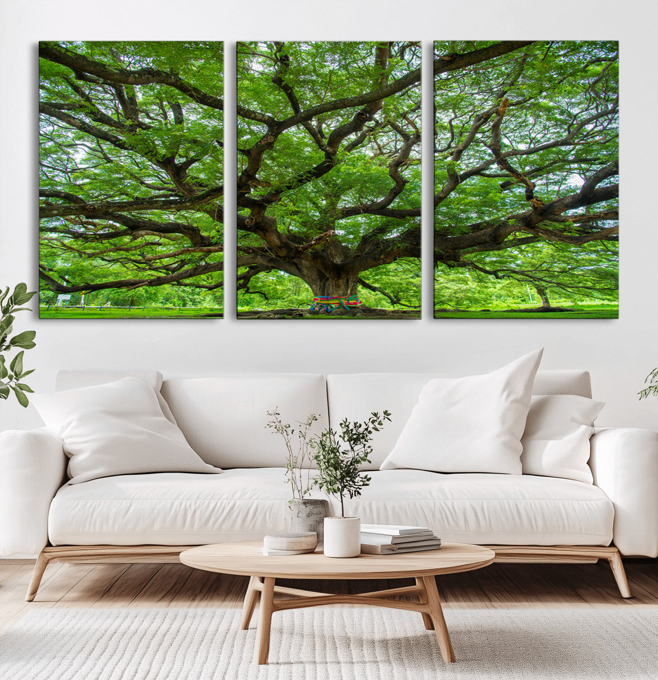 16118389-MGV-CV-36X24-Angel Oak Tree Wall Art Canvas Print – Framed Majestic Woodland Scene with Rustic Oak Artwork for Home, Office, Living Room