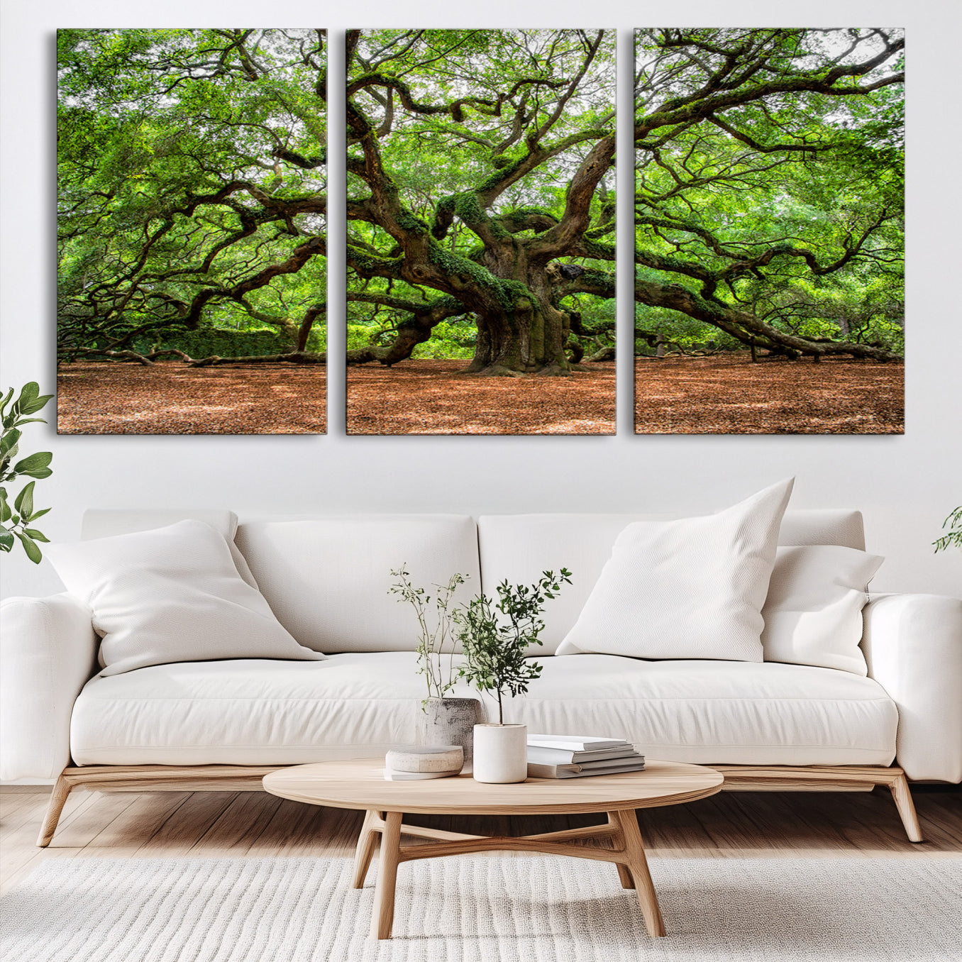 A majestic, ancient tree with expansive, twisting branches spreading wide under a dense, vibrant green canopy in a serene forest clearing.