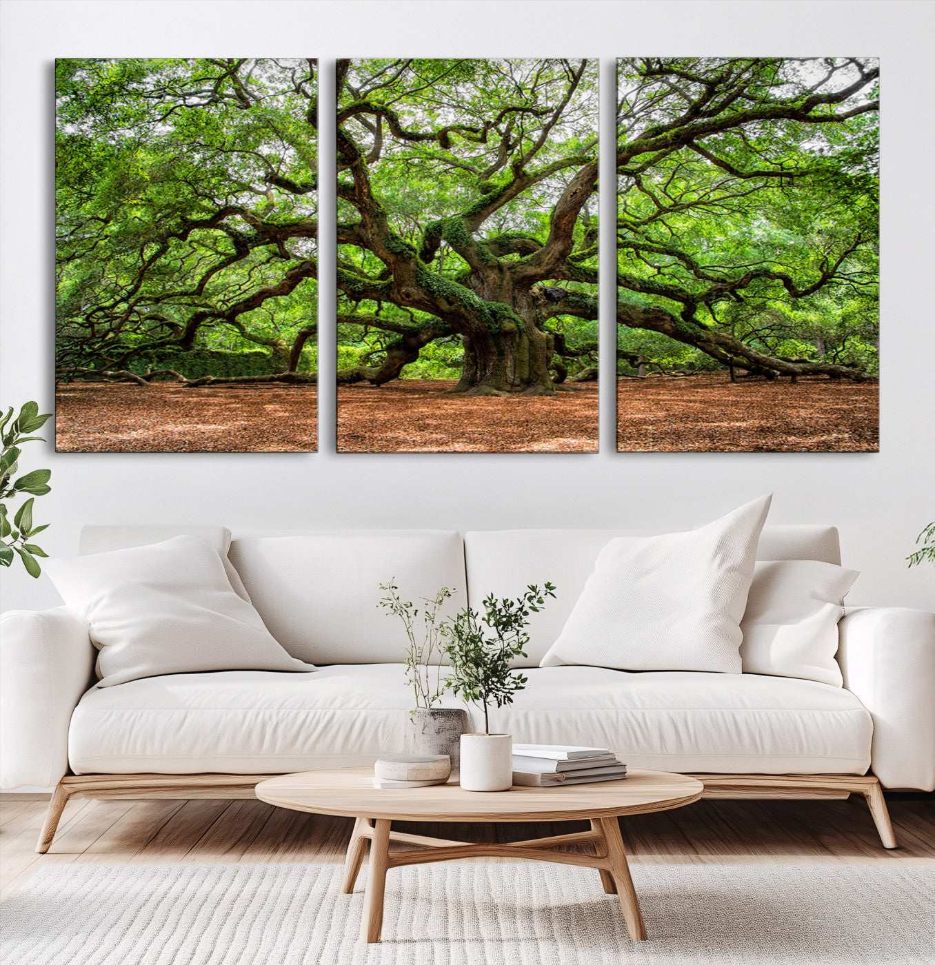 A majestic, ancient tree with expansive, twisting branches spreading wide under a dense, vibrant green canopy in a serene forest clearing.