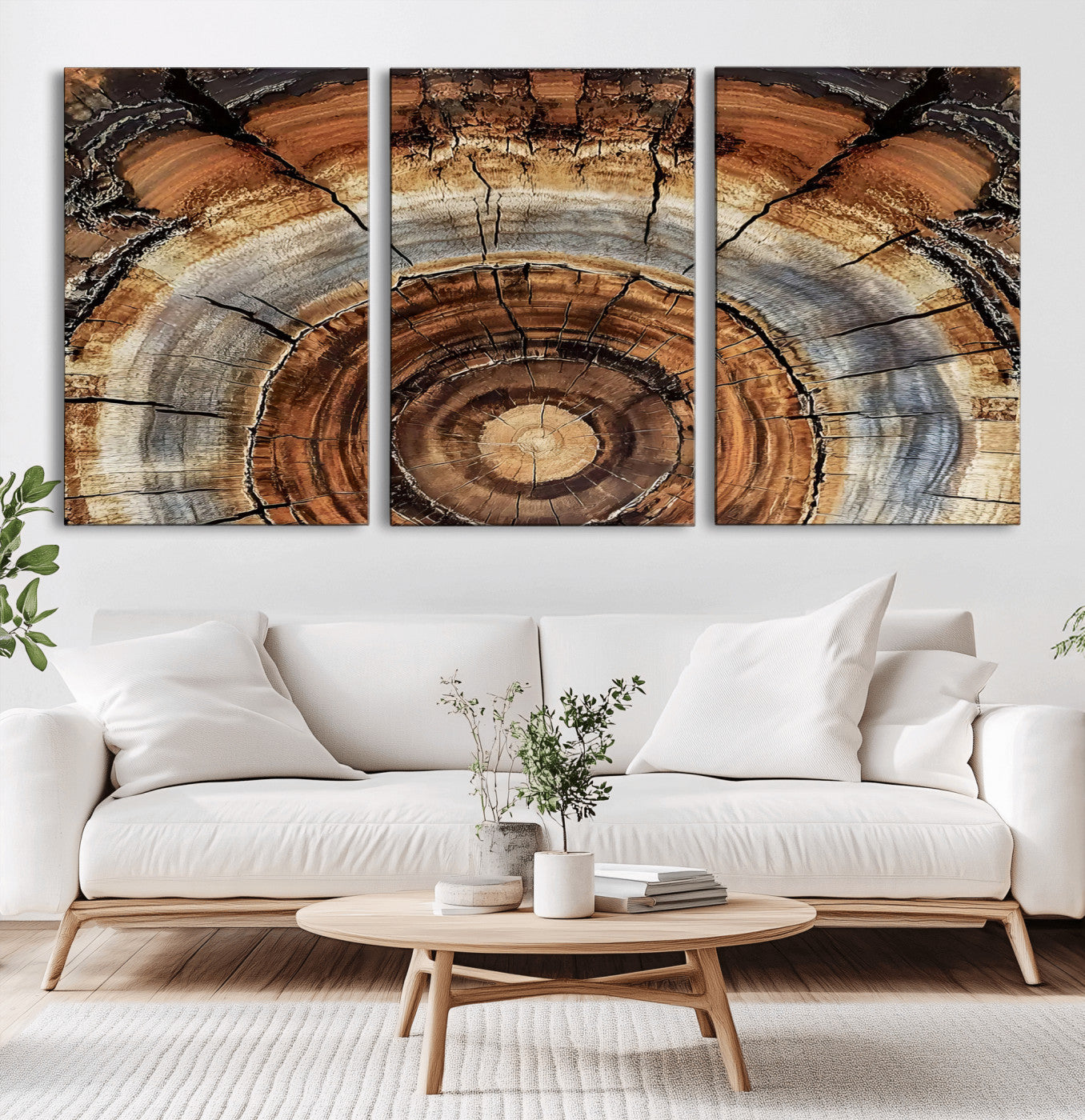 15184146-MGV-CV-36X24-Tree Rings Wall Art Canvas Print – Rustic Wood Texture Natural Grain Organic Pattern Earthy Artwork for Home Office