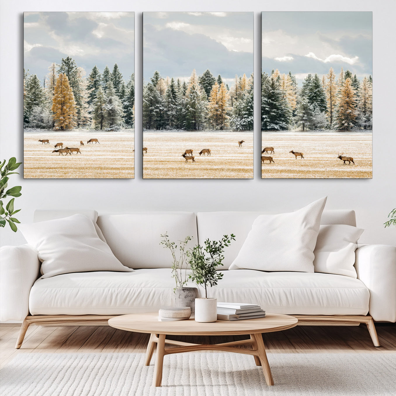 Elk herd in a snowy field with golden pine trees and frosted evergreens, ideal for neutral rustic or cabin-style home decor.