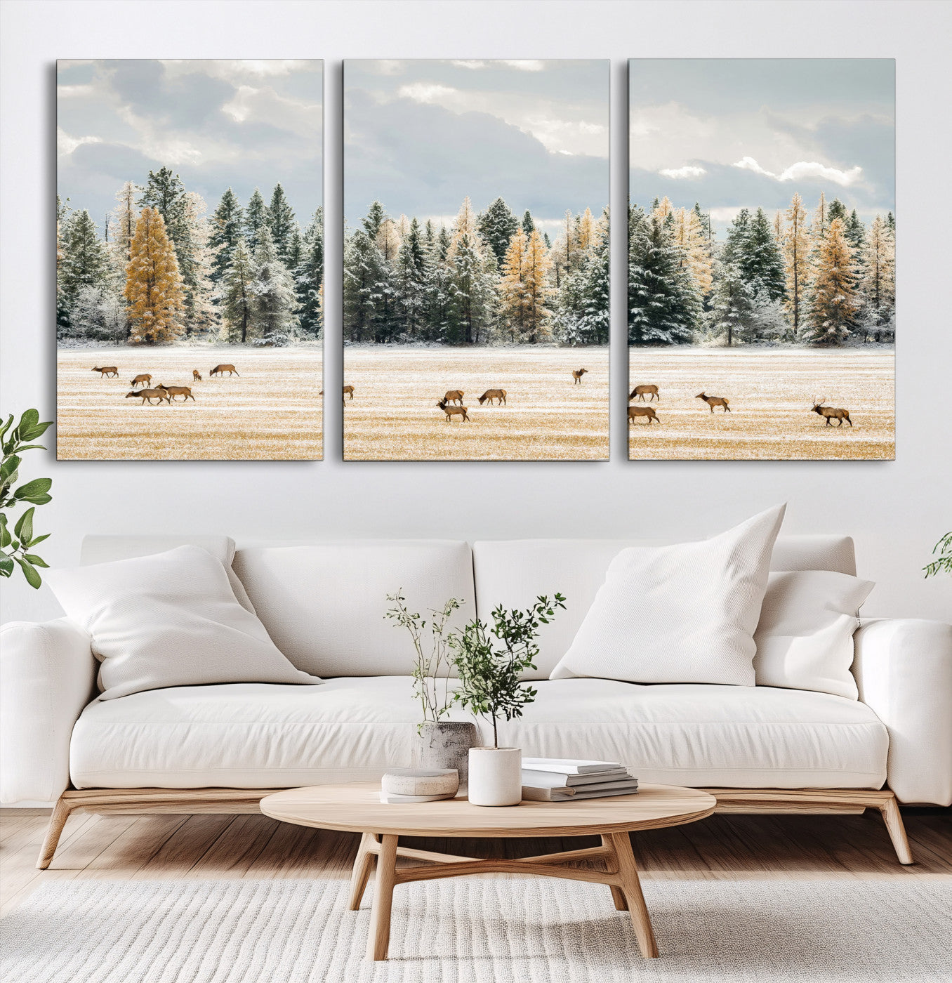 Elk herd in a snowy field with golden pine trees and frosted evergreens, ideal for neutral rustic or cabin-style home decor.