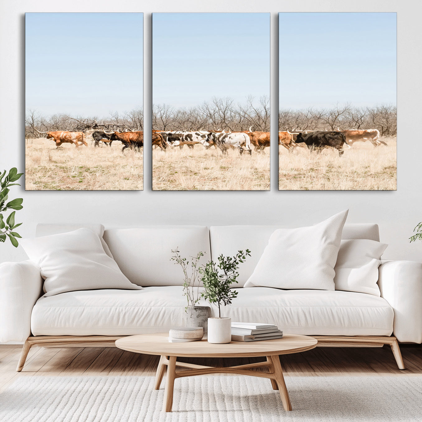 16563092-MGV-CV-36X24-Texas Longhorns Wall Art Canvas Print – Framed Western Cattle Rustic Herd Farmhouse Country Animal Artwork for Home Office