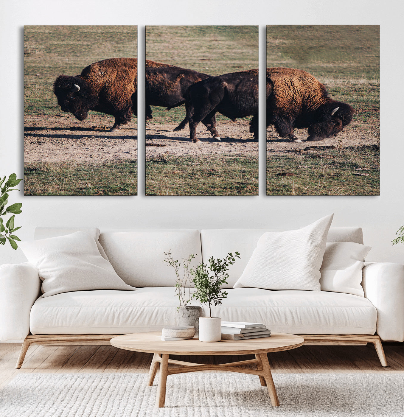 58141885-MGV-CV-36X24-Bison Wall Art Canvas Print – Framed Western Wildlife Modern Ranch Rustic Nature Scene Artwork for Home Office